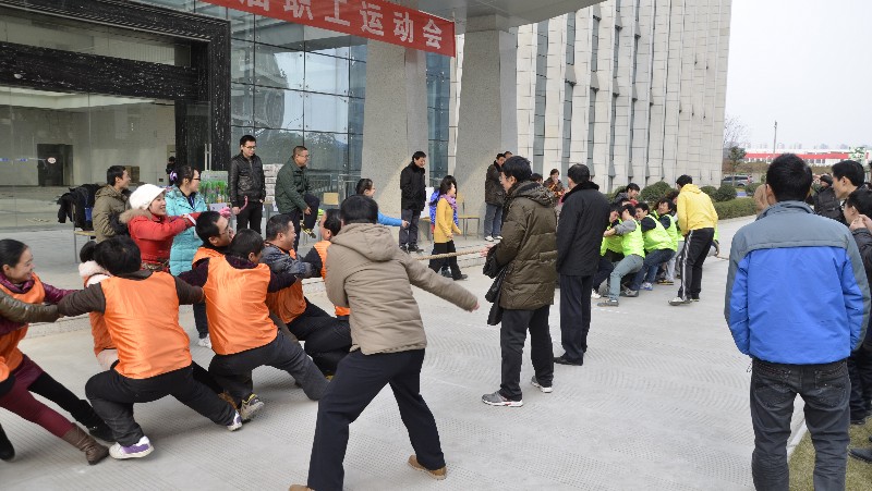 凯时官网平台生物第一届职工运动会
