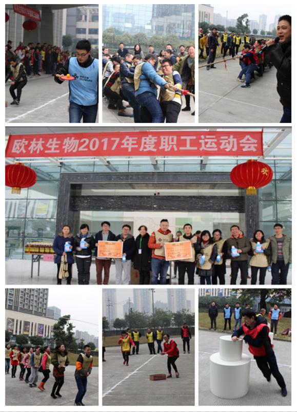 凯时官网平台生物2017年度职工运动会1